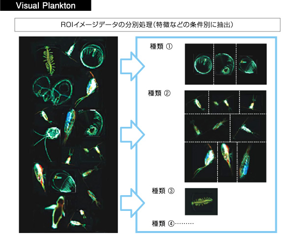 Visual Plankton　ROIイメージデータの分別処理